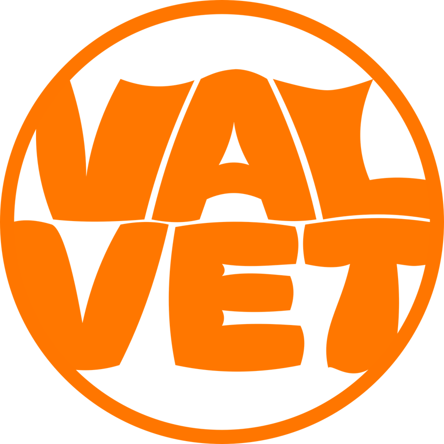 StudionValvet logo: orange VALVET lettering in a circle
